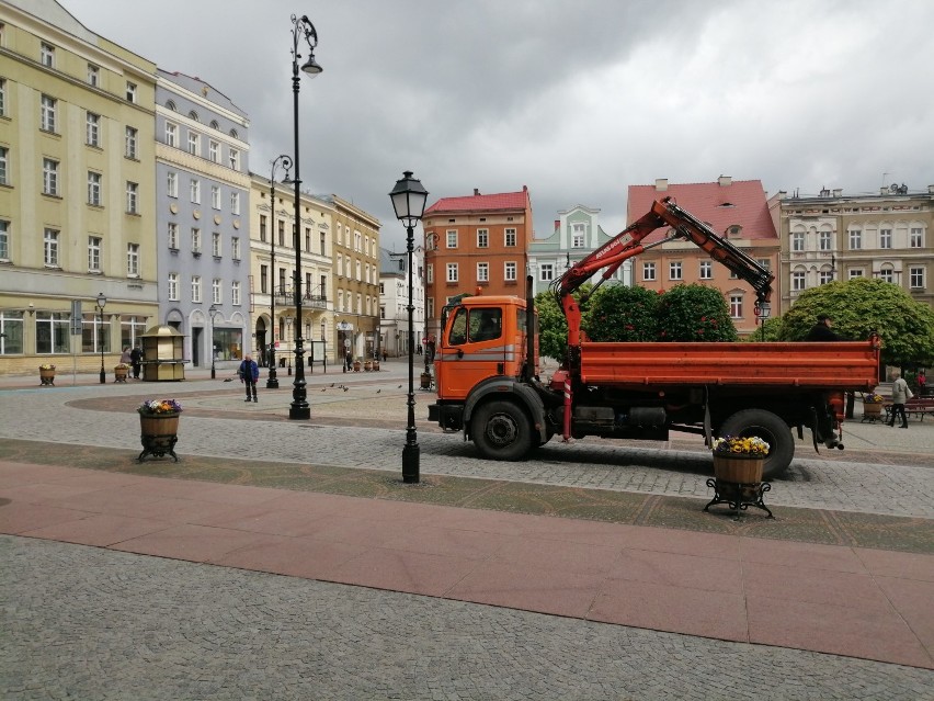 Kwiaty każdemu miejscu dodają uroku. Wałbrzyski rynek stał...