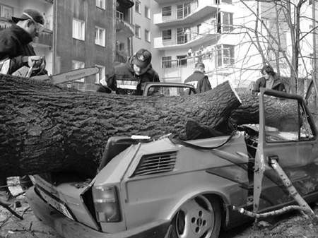 Najtrudniejszy był dla bielskich strażaków listopad ubiegłego roku. W ciągu trzech dni bez ustanku walczyli ze skutkami szalejącej wichury. Na ulicy Bohaterów Warszawy drzewo zniszczyło samochód.
