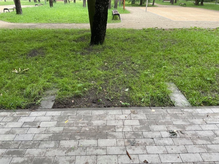Ławka zniknęła z Parku Podlesie, uszkodzony został także...