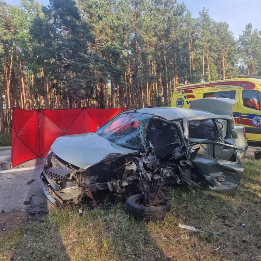 Śmiertelny wypadek na drodze relacji Włodawa-Chełm