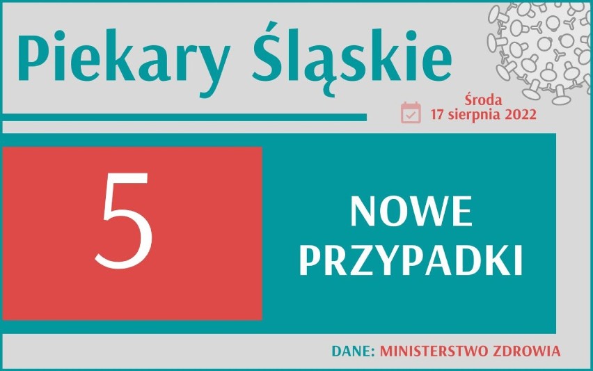 Koronawirus w Śląskiem. Gdzie jest najgorzej?