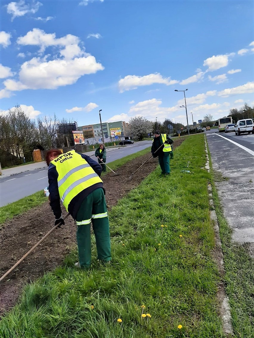 Trwa siew łąk kwietnych w Chełmie. Najdłuższa ma około 1,5 kilometra. Zobacz zdjęcia