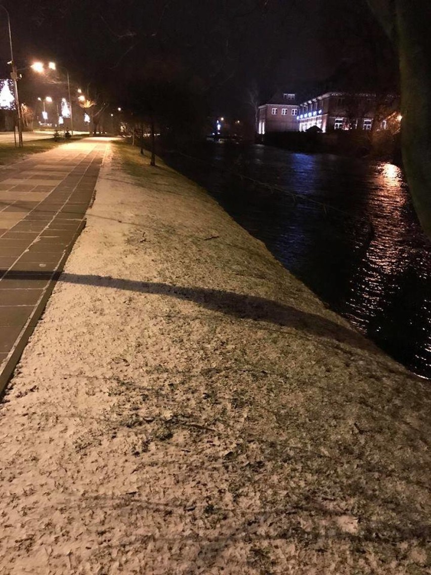 Niespokojna noc na Żuławach. Strażacy usuwali szkody, wyrządzone przez wiatr [NOWE ZDJĘCIA]