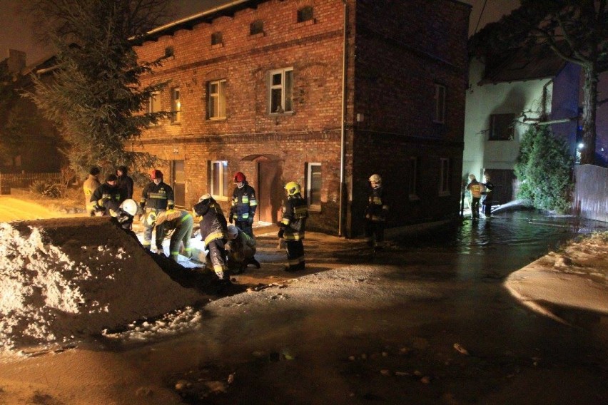 Niespokojna noc na Żuławach. Strażacy usuwali szkody, wyrządzone przez wiatr [NOWE ZDJĘCIA]
