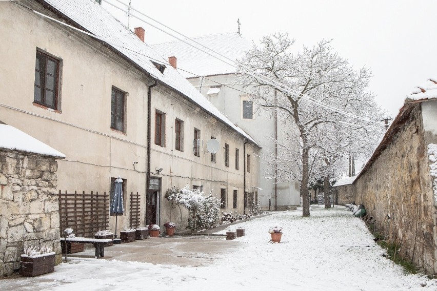 Zimowy krajobraz w Pińczowie odmienił wizerunek miasta. Znane wszystkim miejsce wyglądają zupełnie inaczej. Zobaczcie zdjęcia