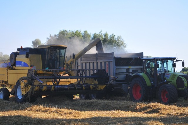 Produkcję roślinną na Podkarpaciu zdominowały zboża.