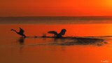 Foto Powiat Pucki: kwietniowy poranek w Pucku i nad Zatoką Pucką. Nie uwierzycie, że to jest jeszcze wczesna wiosna | ZDJĘCIA