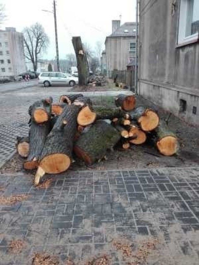 Urząd Gminy w Turawie przekonuje, że drzewa były chore i stwarzały zagrożenie dla ludzi. W ich miejscu posadzone zostaną nowe.