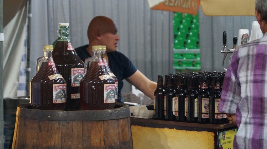 BeerGoszcz 2015: Trwa pierwszy Bydgoski Festiwal Piwa [zdjęcia, wideo] 