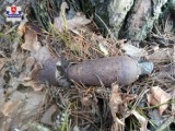 Sobibór. Półmetrowy pocisk moździerzowy znaleziony w lesie