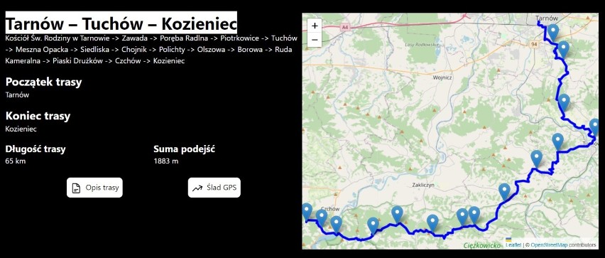 Ekstremalna Droga Krzyżowa w Tarnowie i regionie. Dziś przed uczestnikami wiele kilometrów - nocą, w milczeniu. Do wyboru 13 tras