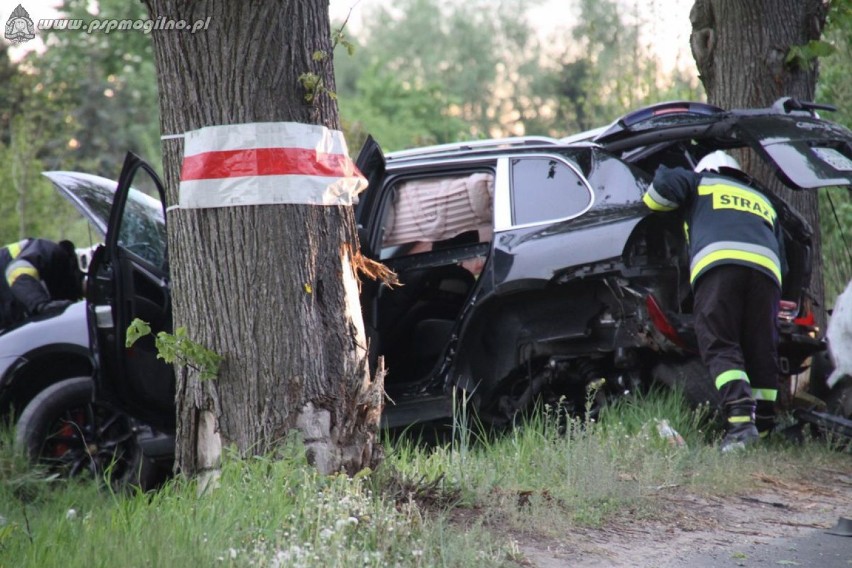 Wypadek samochodu osobowego w Strzelnie [ZDJĘCIA]