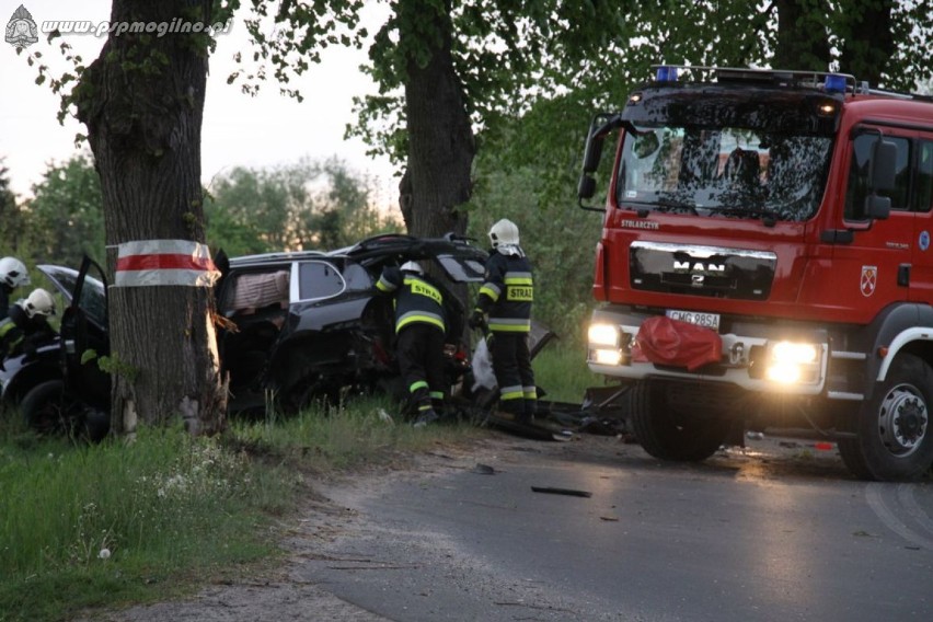 Wypadek samochodu osobowego w Strzelnie [ZDJĘCIA]