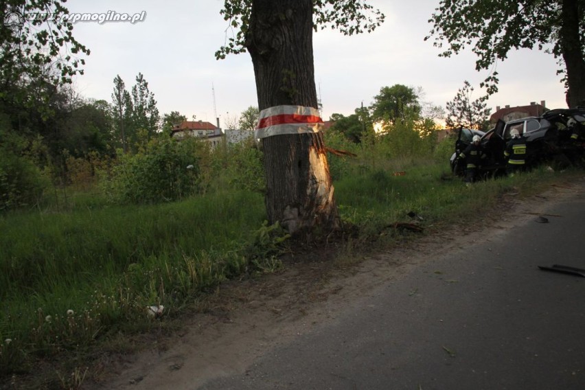 Wypadek samochodu osobowego w Strzelnie [ZDJĘCIA]