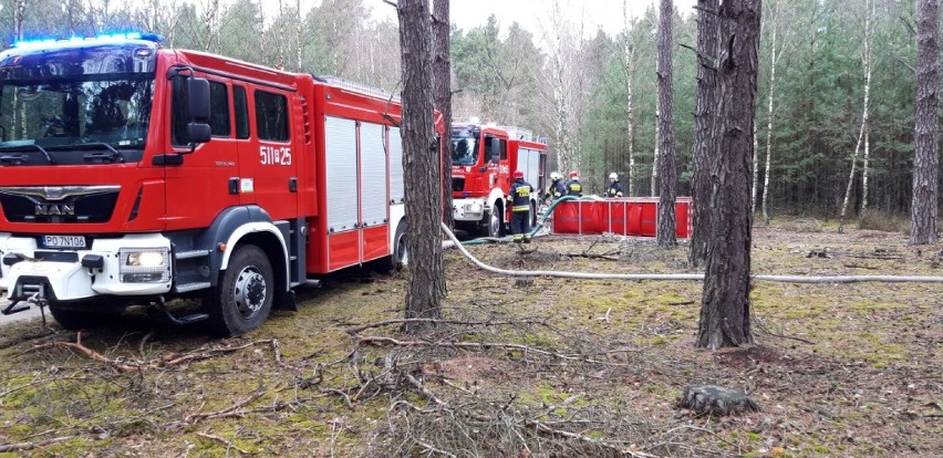 9 zastępów strażaków na sygnałach wjechało do lasu pod Grubskiem