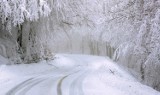 Intensywne opady śniegu, zamiecie i zawieje. W jakich regionach Polski obowiązują ostrzeżenia IMGW?