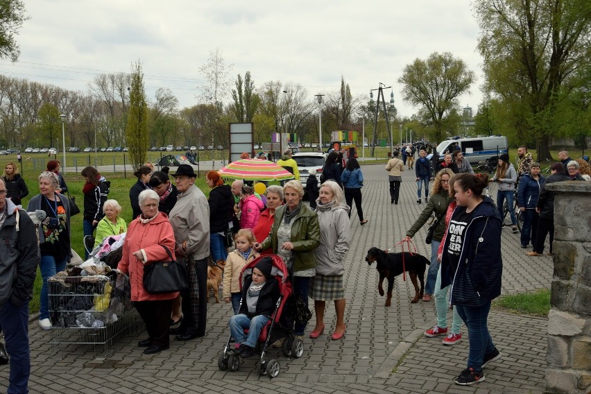 Piknik Rodzinny w Łowiczu. Miłośnicy zwierząt 7 maja znów zapraszają na kajaki (Zdjęcia)