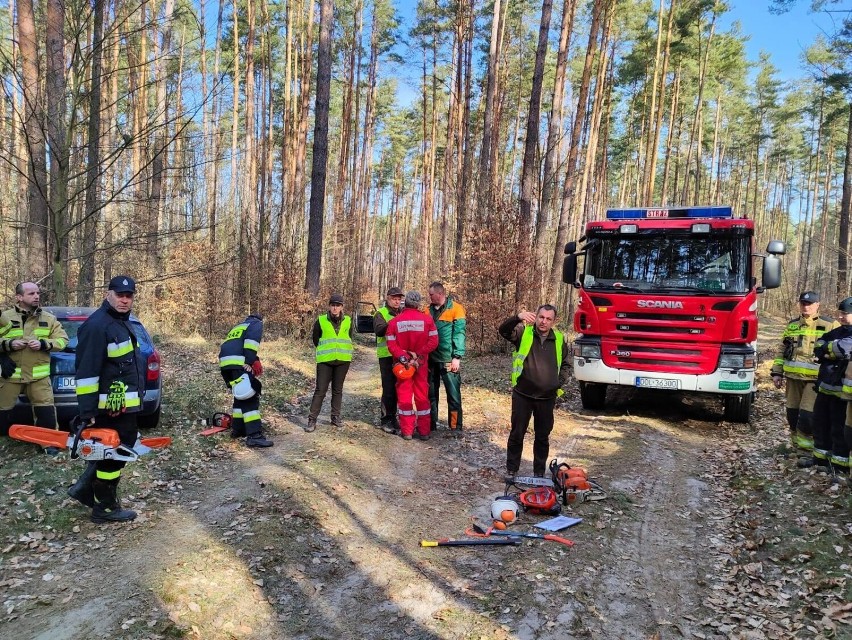 Strażacy z Oleśnicy i Sycowa szkolili się w lasach