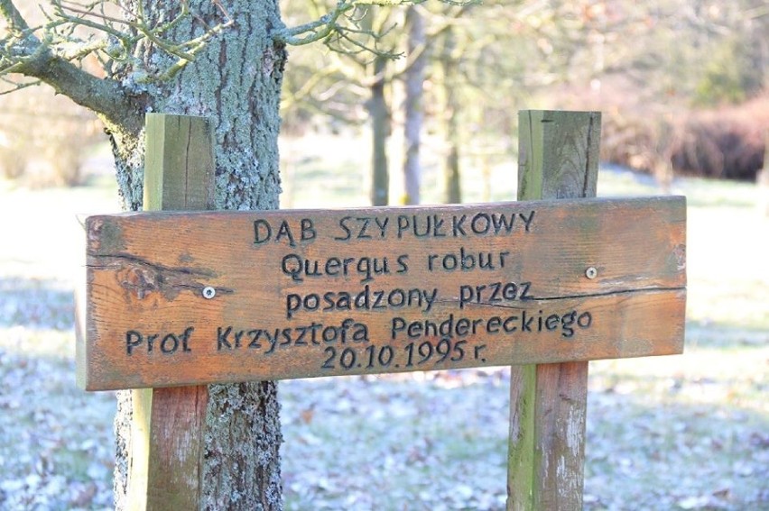 Zmarły w tym roku kompozytor Krzysztof Penderecki odwiedzał sycowskie Arboretum [ZDJĘCIA]