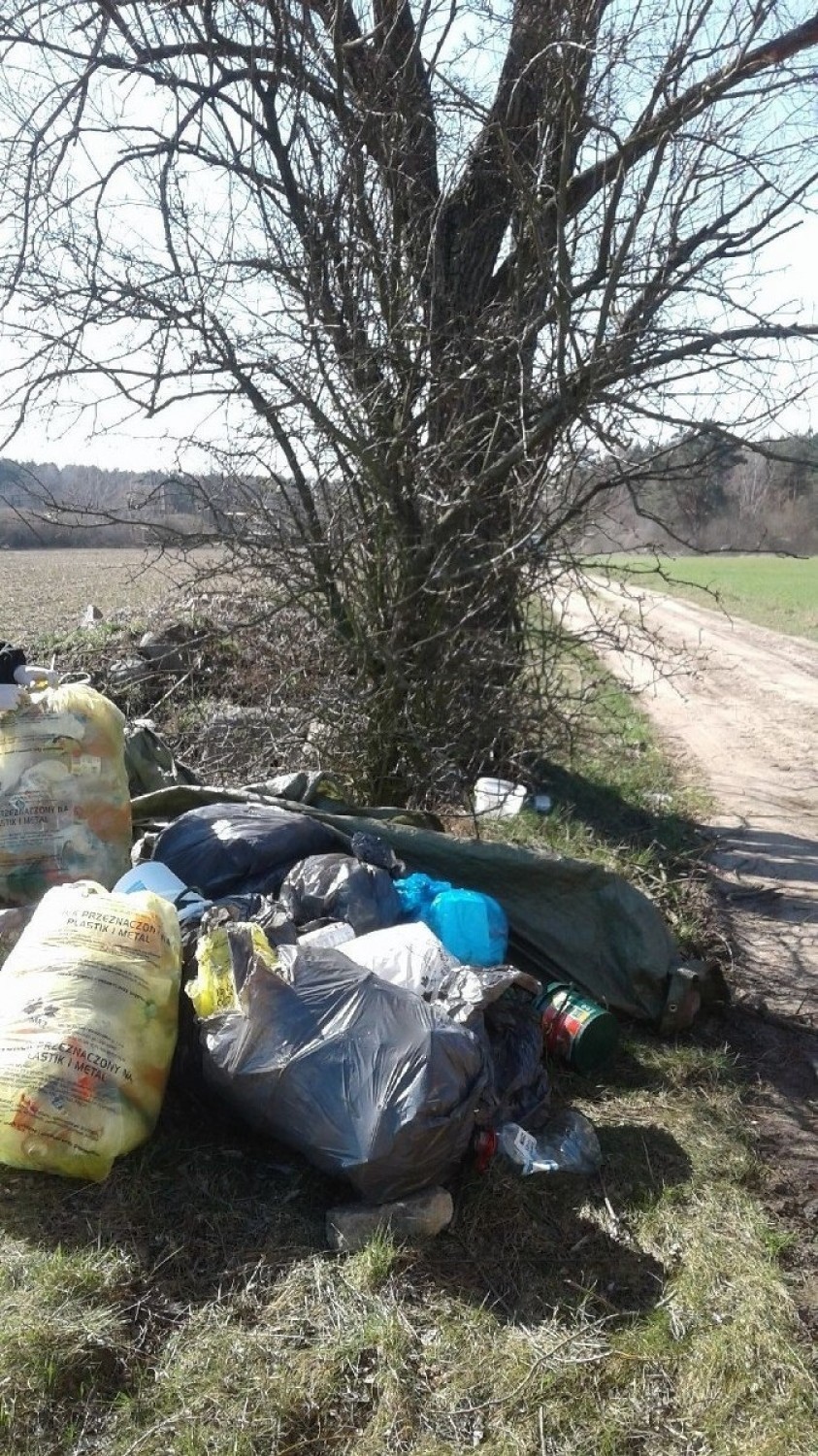 WSCHOWA. Mieszkaniec Leszna podrzucił śmieci na polu w Buczynie. Wpadł jak śliwka w kompot, a jego linia obrony okazała się słaba [ZDJĘCIA]