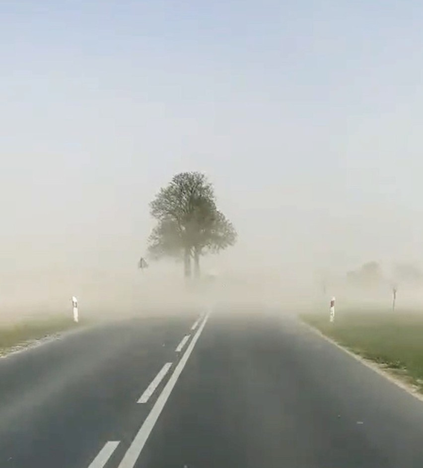 "Burza piaskowa" na drodze pod Bydgoszczą [wideo, zdjęcia]