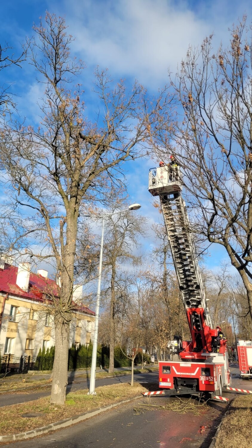 Interwencja strażaków w tarnowskich Mościcach