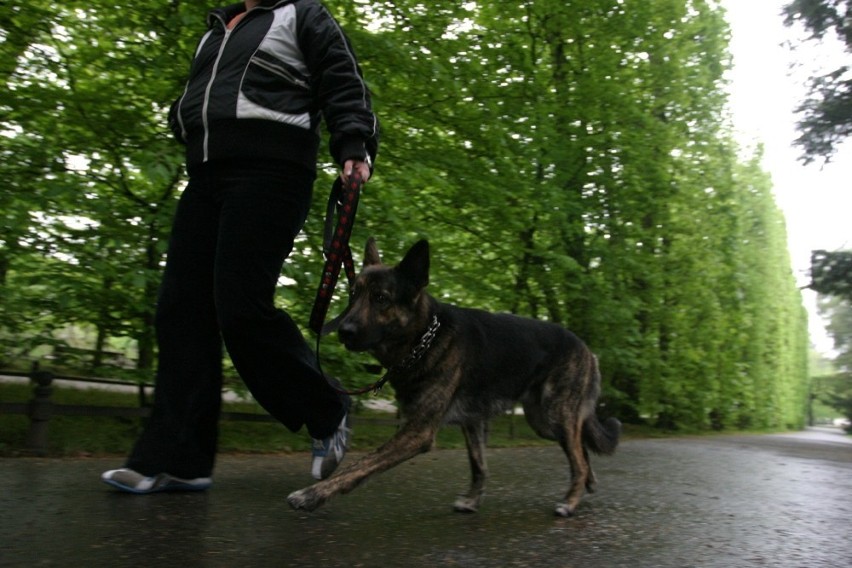 Gdańsk: Całkowity zakaz wprowadzania psów do oliwskiego parku