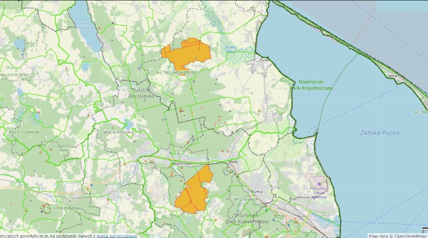 Sposób na majówkę? W naszym regionie można legalnie nocować w lesie. Od soboty 1 maja. Sprawdź gdzie?