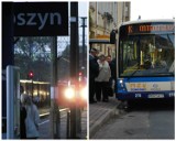 INFORMATOR PKP i PKS: godziny odjazdów pociągów i autobusów z Krotoszyna. To warto wiedzieć 