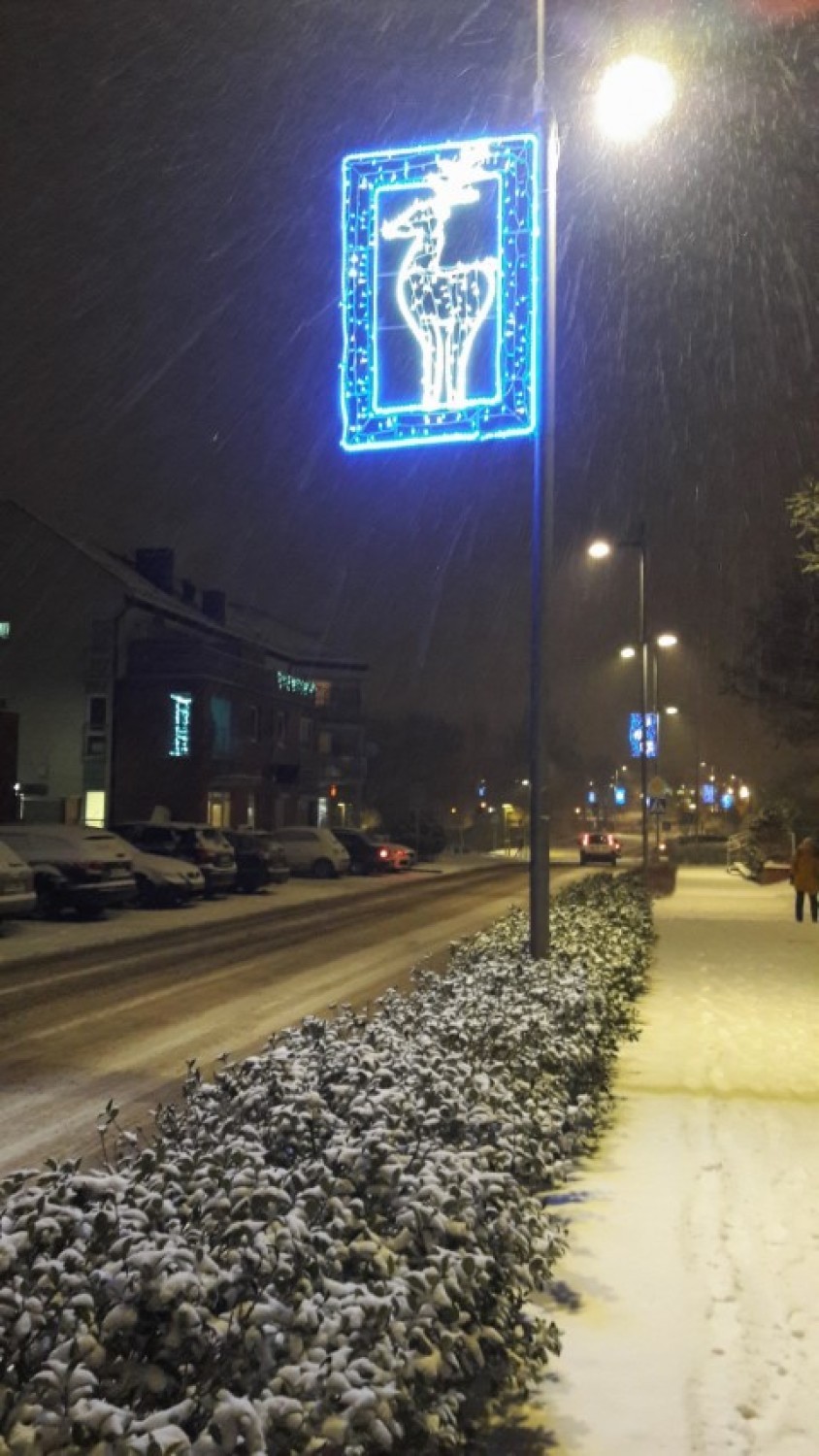 Świąteczno-zimowy nastrój zawitał do Pruszcza Gdańskiego. Zobacz galerię zdjęć!  [ZDJĘCIA]