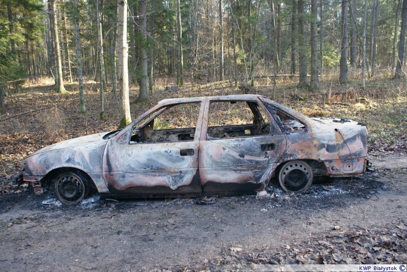 Ukradli auto i je spalili [zdjęcia]