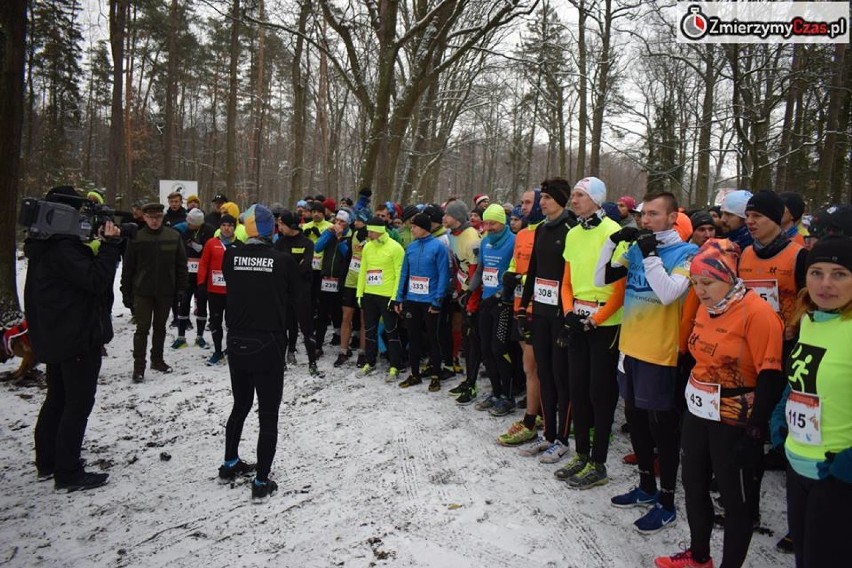 Bieg po Choinkę 2018 w Lublińcu. Wystartowało 350 osób, które pobiegły leśnymi duktami na 500, 1000 i 5000 m ZDJĘCIA 
