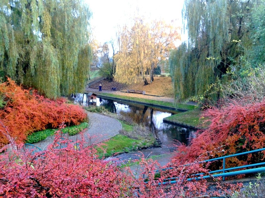 Jesienny Toruń 2014