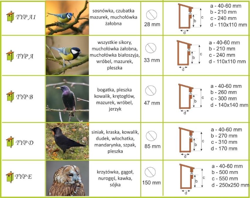 Koronawirus, Piotrków: Nuda w domu? Skręcajcie budki lęgowe!