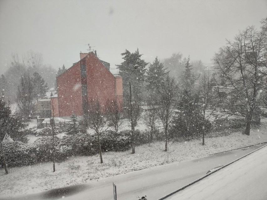 IMGW wydał ostrzeżenia meteorologiczne. Będą przymrozki, wichury i śnieg. Trudne warunki na drogach w Wielkopolsce