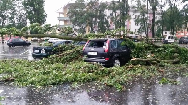 Obfite opady deszczu i silny wiatr w Złotowie