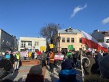 „Stop segregacji sanitarnej". Przeciwnicy przymusu szczepień spotkali się na placu Łuczkowskiego w Chełmie. Zobacz zdjęcia