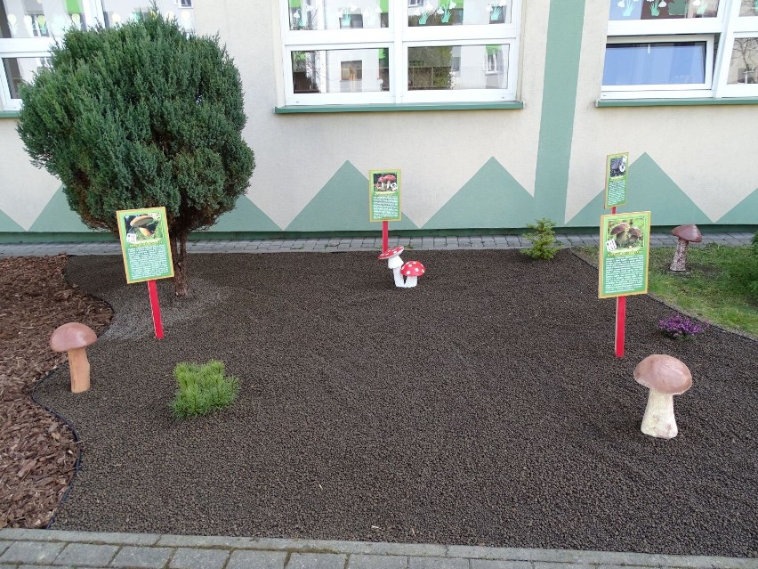 Ekologiczny punkt dydaktyczny w przedszkolnym ogrodzie przy Żytniej w Zduńskiej Woli
