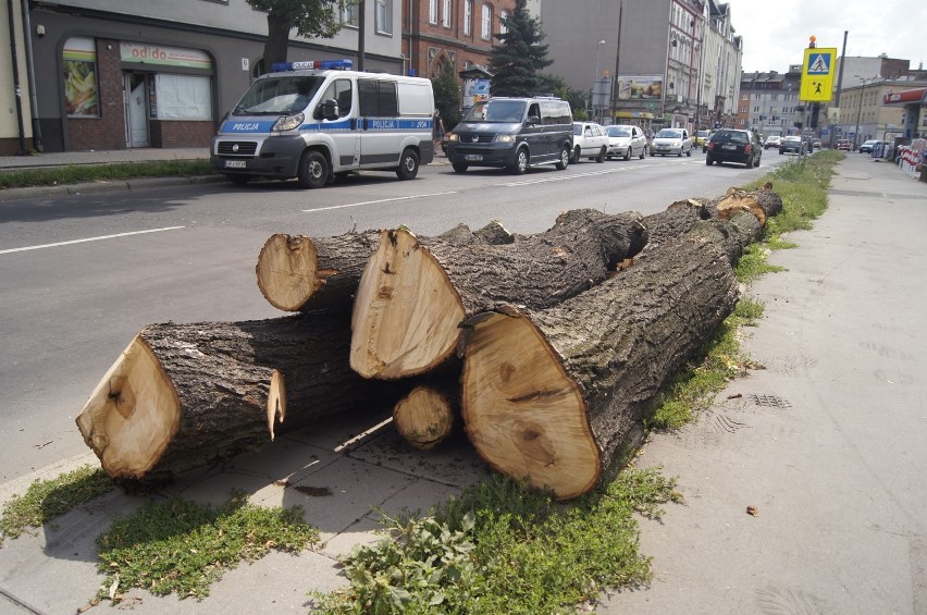 Wycięte drzewa przy ul. Wrocławskiej w Opolu