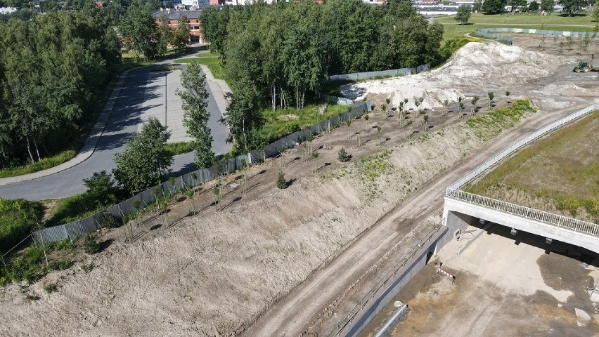 Kraków. Budowa Trasy Łagiewnickiej: jeżdżą już w tunelach, nad nimi sadzą drzewa [ZDJĘCIA]