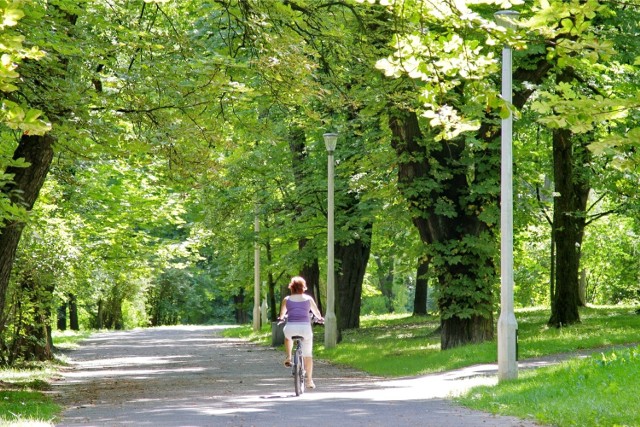 Jednym z projektów jest budowa minigolfa w Parku Lotników Polskich.