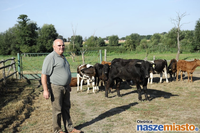 Najpiękniejsze posesje w gminie Dobryszyce