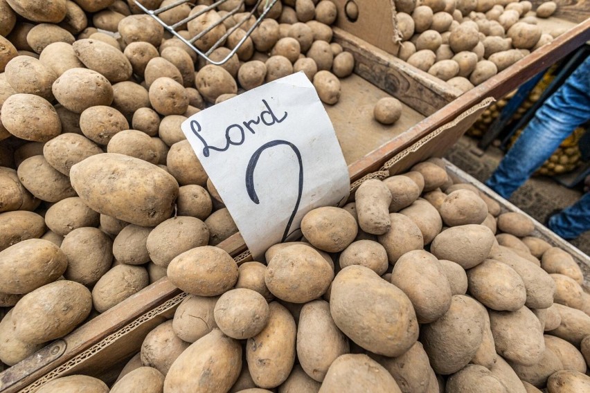 Średnia cena skupu ziemniaków 17-18.10.2022 wynosiła 0,88...