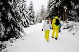 Sprawdź warunki dla narciarzy biegowych w Jakuszycach [GALERIA]