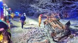 Wypadek na serpentynach w Boguszowie - Gorcach. Samochód dachował, kierowca był pijany. Uwalniali go strażacy NOWE FAKTY 