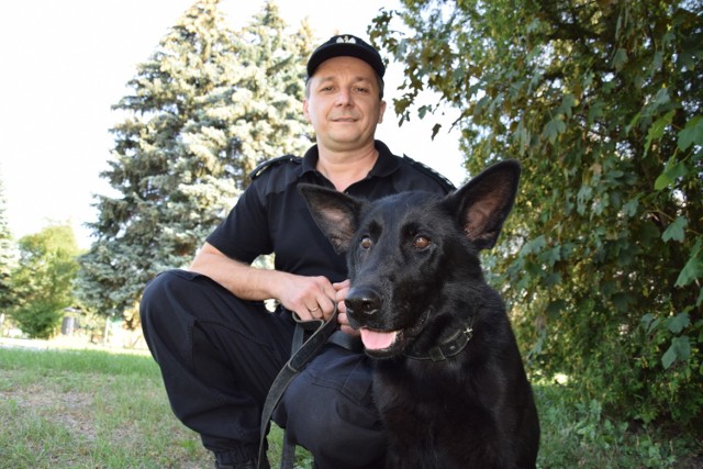 Tarnowski funkcjonariusz z nowym nabytkiem komendy - czarnej maści owczarkiem niemieckim pracuje od roku, ale już zyskał zaufanie psiego partnera. Na swoim koncie mają już wiele udanych akcji