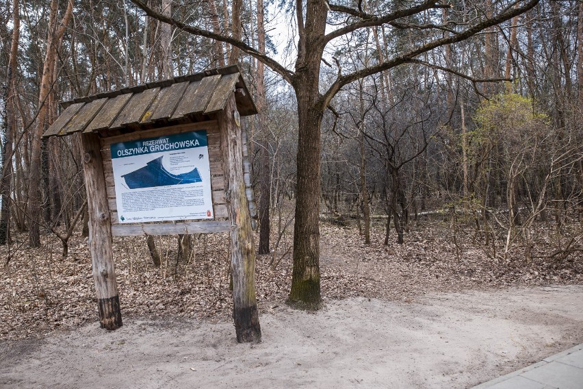 Rezerwat przyrody Olszynka Grochowska. Idealne miejsce na...
