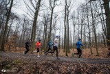 W niedzielę kolejny bieg City Trail w lasach nad stawami Janina i Barbara w Giszowcu