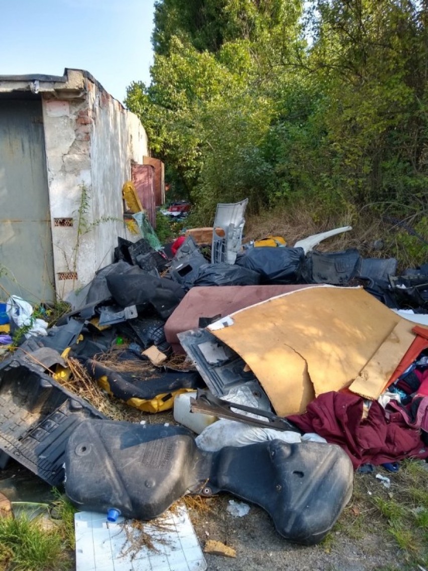 Dzikie wysypiska śmieci znikną? Urząd Miasta ogłosił przetarg na ich likwidację