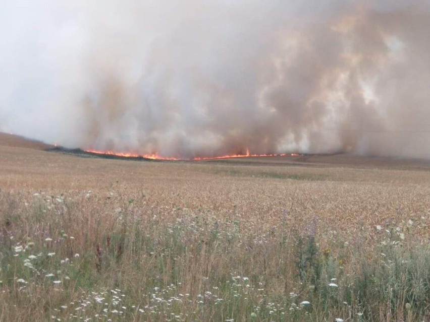 Pożar pola w Zawadzie